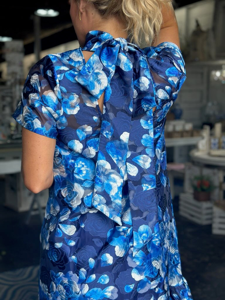 Luda Blue Maxi Dress